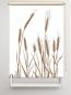 Preview: Rollo cereal 24 - blanco cappuccino, Rollo, Motivrollo, Rollo mit Druck, Fotorollo, bedrucktes Rollo, Fensterrollo,verdunkelndes Rollo, Sonnenschutz Rollo
